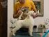 PoulaTo: Grand Royal Poodle Standard